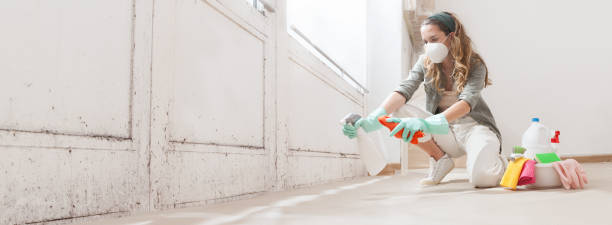 Trusted Selden, NY Mold Inspection, Removal & Remediation Experts